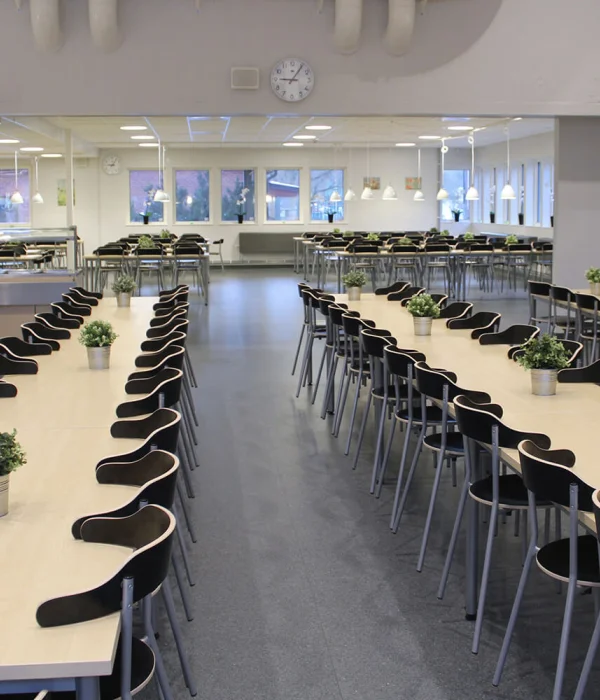 Classic Mystique PUR