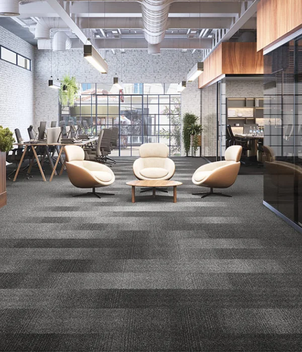 Metrópolis + Metrópolis Transitions