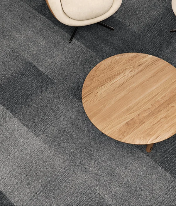 Metrópolis + Metrópolis Transitions