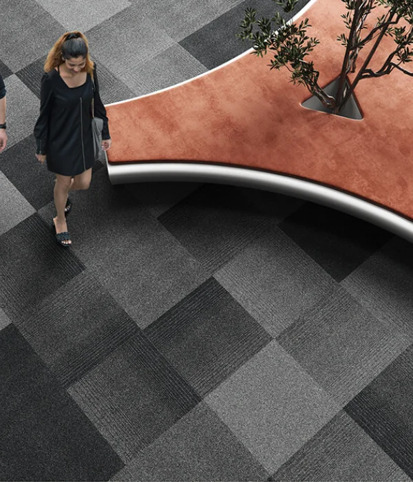 Metrópolis + Metrópolis Transitions