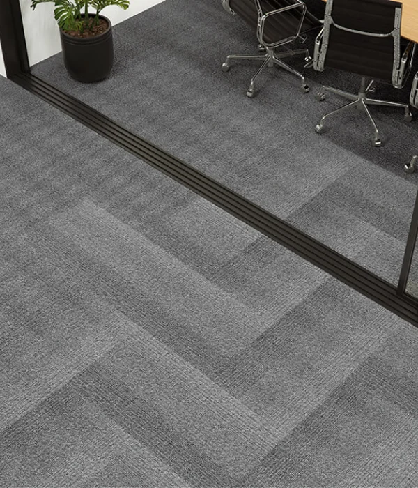 Metrópolis + Metrópolis Transitions