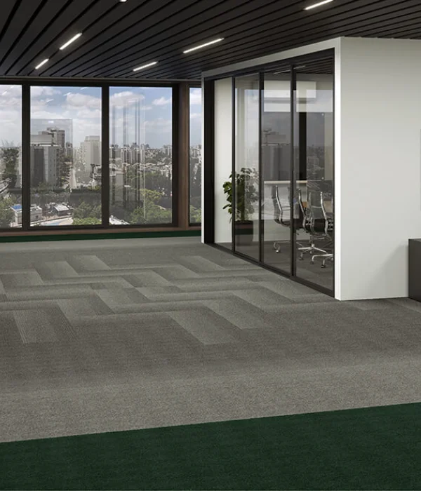 Metrópolis + Metrópolis Transitions