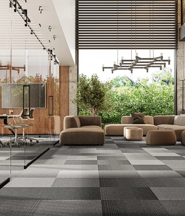 Metrópolis + Metrópolis Transitions