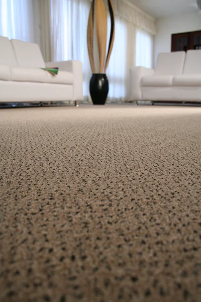 01K8BKRHQ0J3D3KJ6XT8QA8E0A