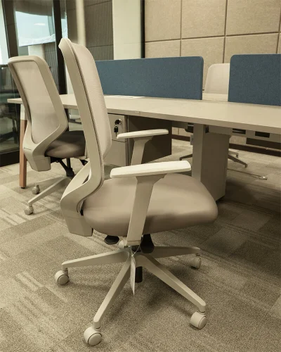 01K8H19N49KDRHNWNTX8PBS67B