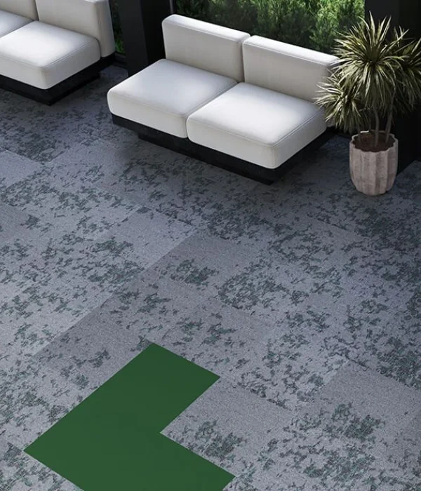 Layout + Hercules Square