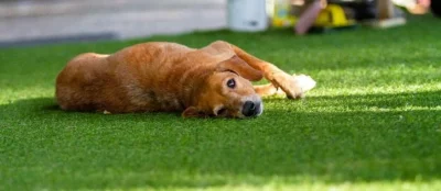 01KFXPG3NBRDMR3NGZ05MYM2P3