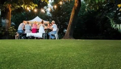 01KFXPG3NCW8MFPMQ1144YT0FX