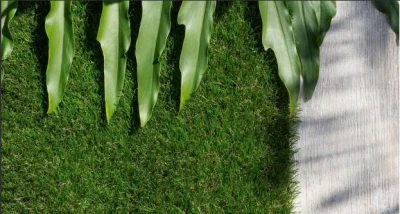 01KH3QYQHFASJWQRF68JRFN672