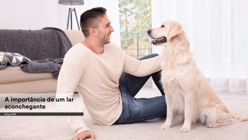 A importância de um lar aconchegante