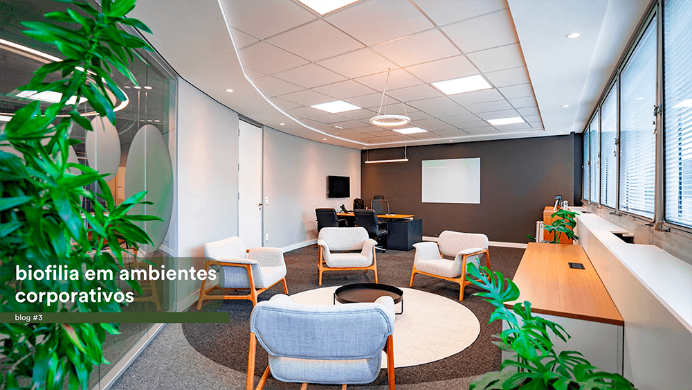 Os benefícios da biofilia em ambientes corporativos