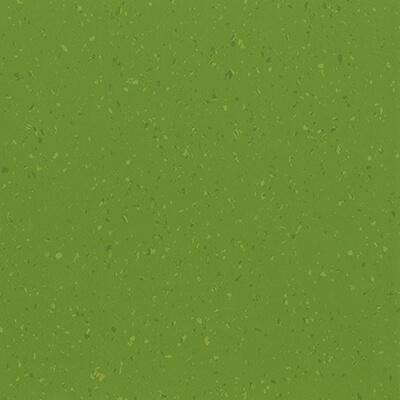 019 - English-Garden