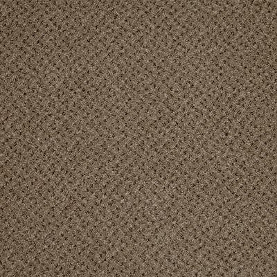 501 - Desert