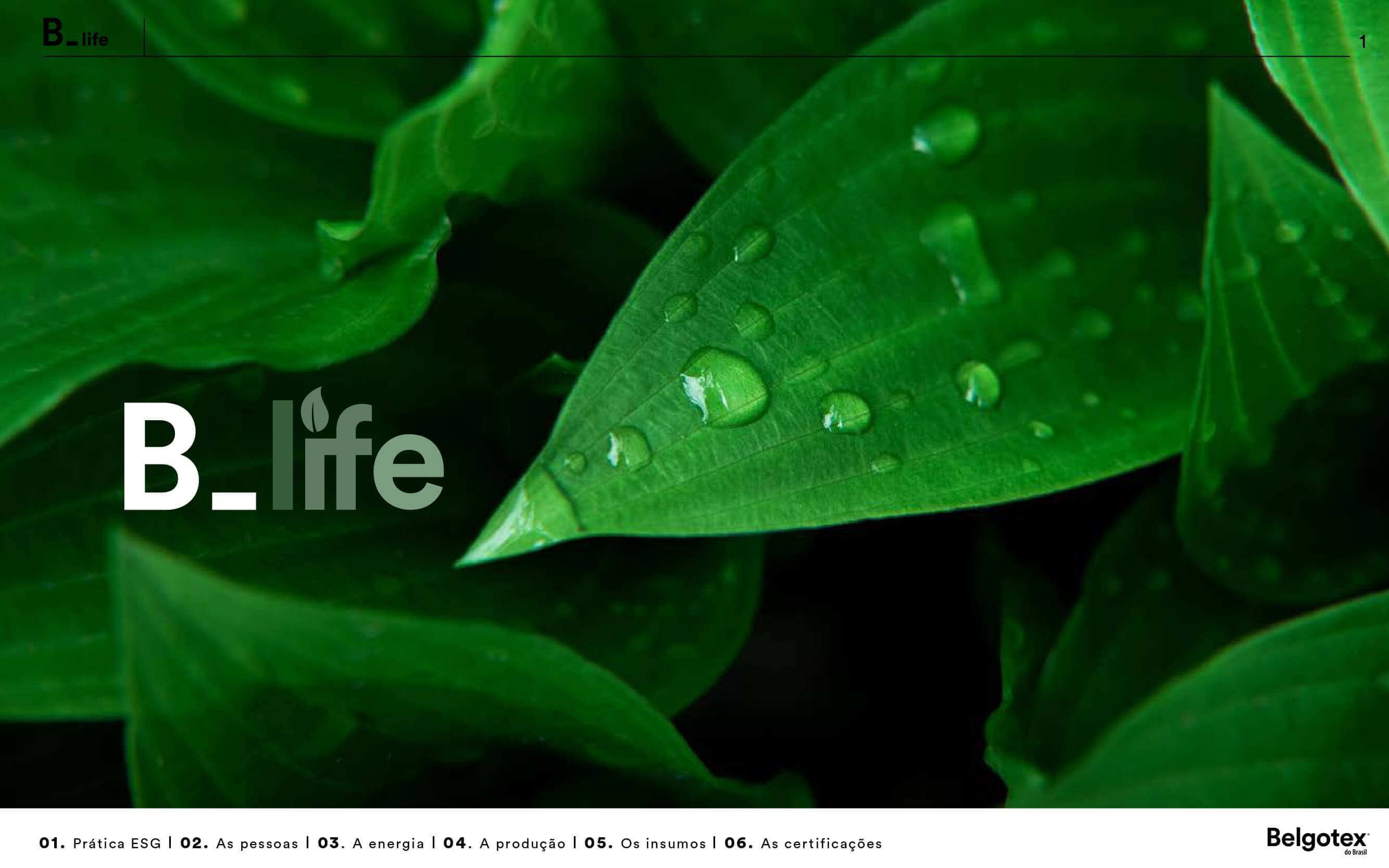 B_ Life